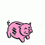 FEED-PIG