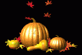 gourds_falling_leaves_md_blk