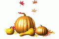 gourds_falling_leaves_md_wht