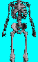 ani-skeleton-55x197