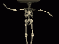 skeleton_wearing_sombrero_md_clr