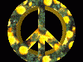 PEACE3D